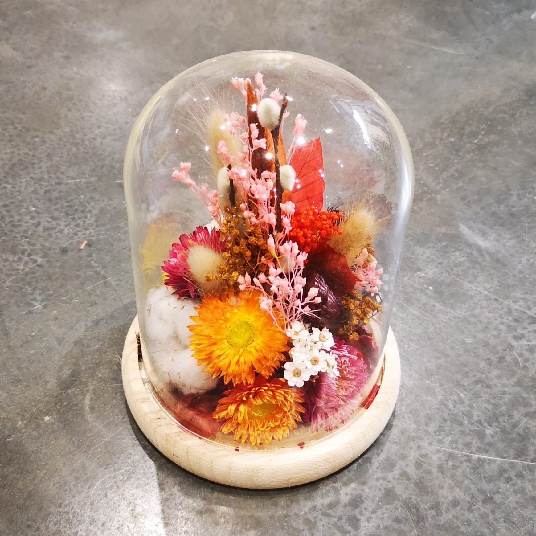 Cloche fleurs séchées