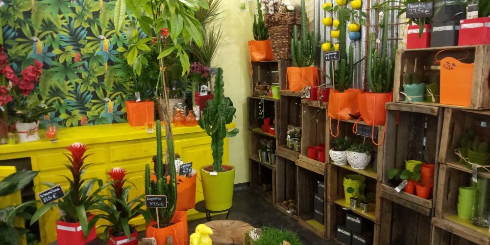 Chacun sa rose, intérieur cactus