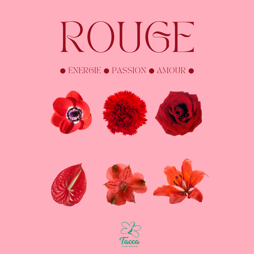 Le rouge