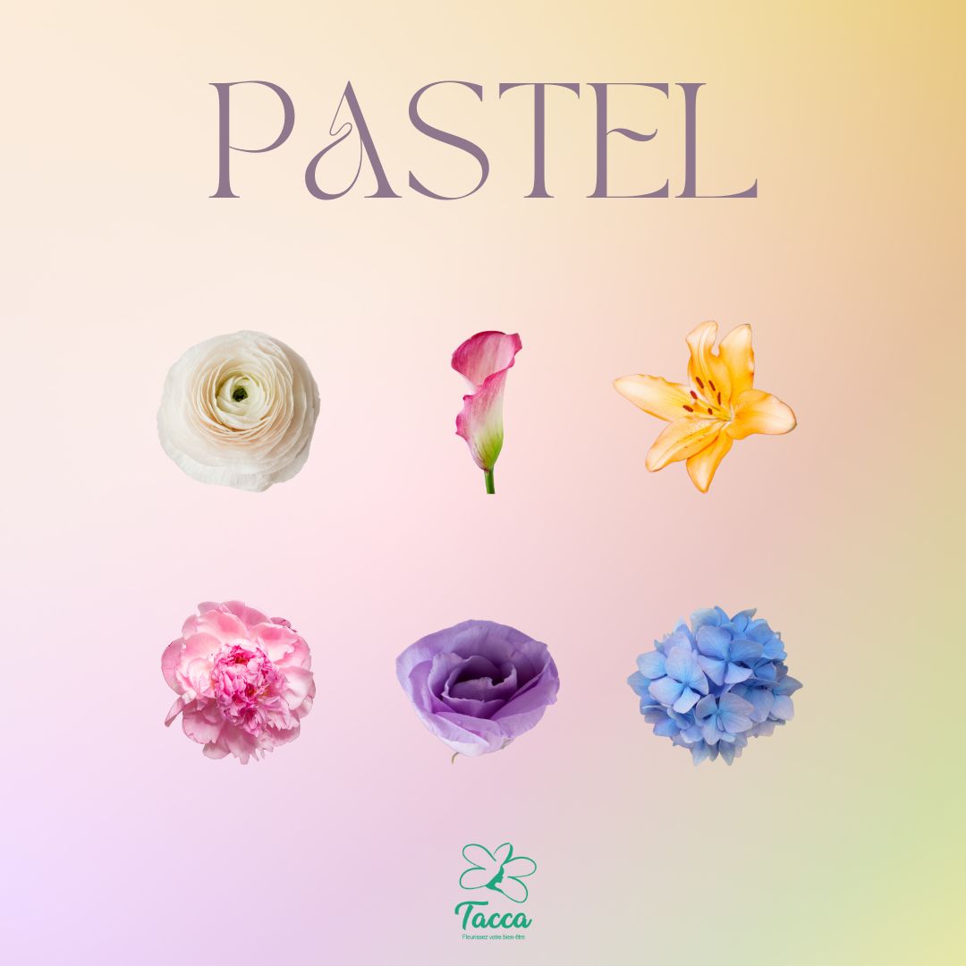 Pastel