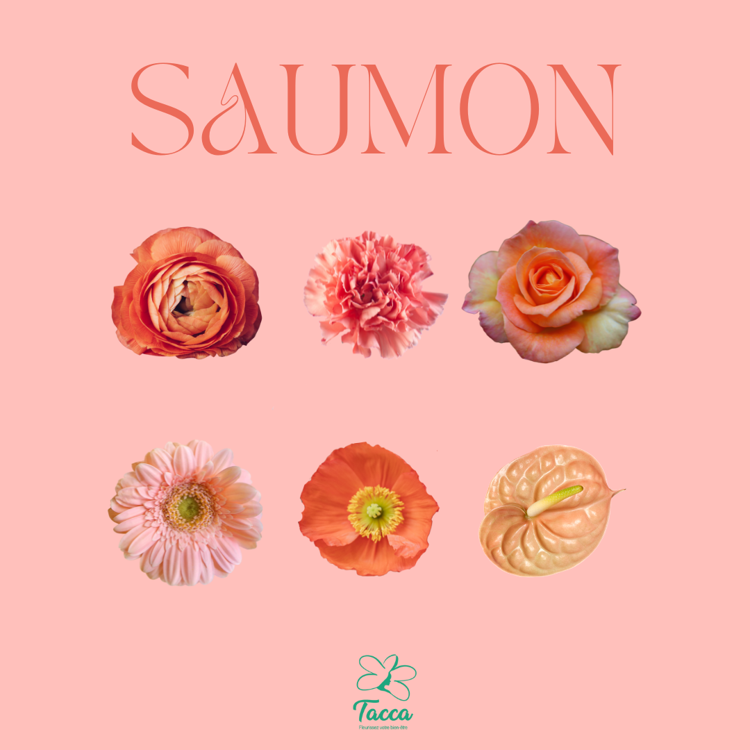 Le saumon
