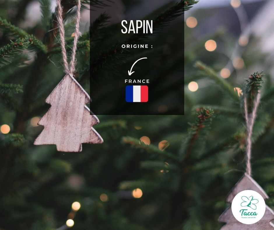 sapin nordmann de dordogne