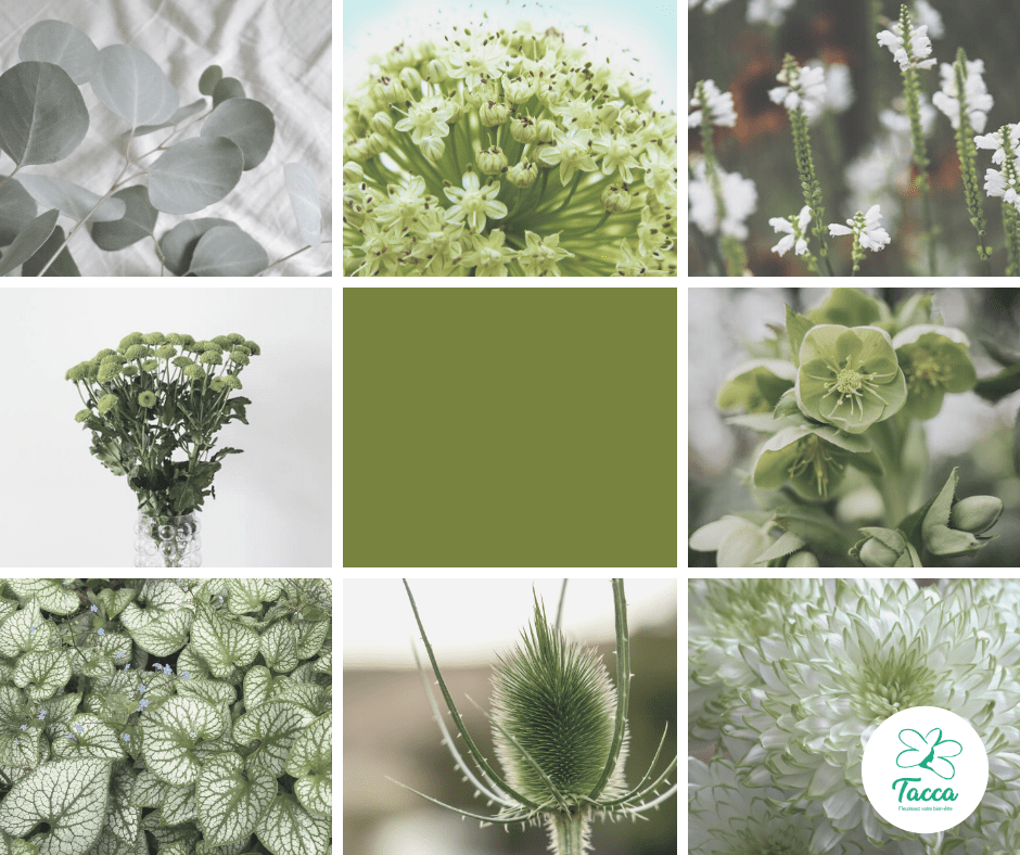Mars // Haut en couleur : le vert