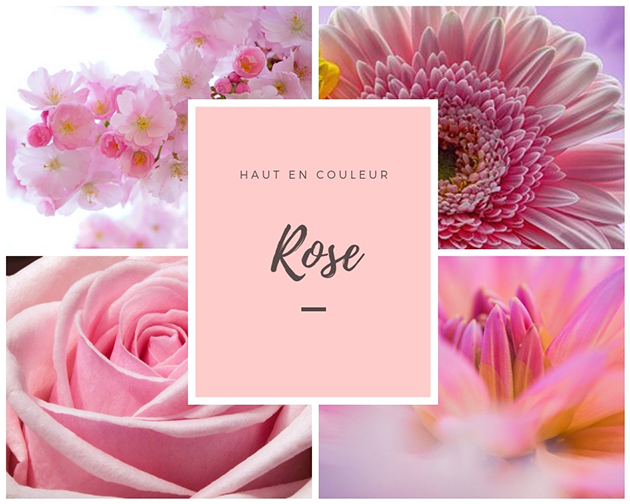 Fleurs roses Libourne