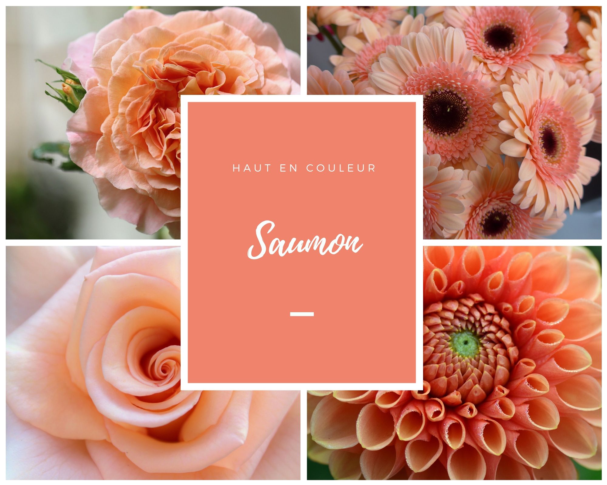 Juillet bouquet saumon