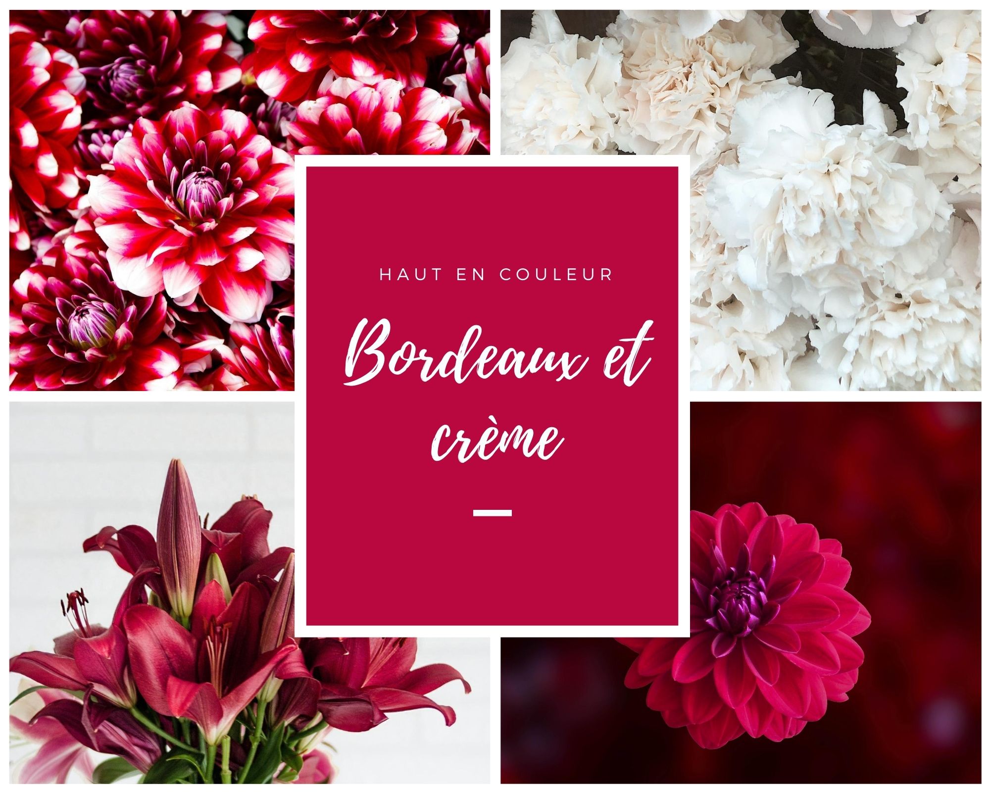 Bordeaux & crème