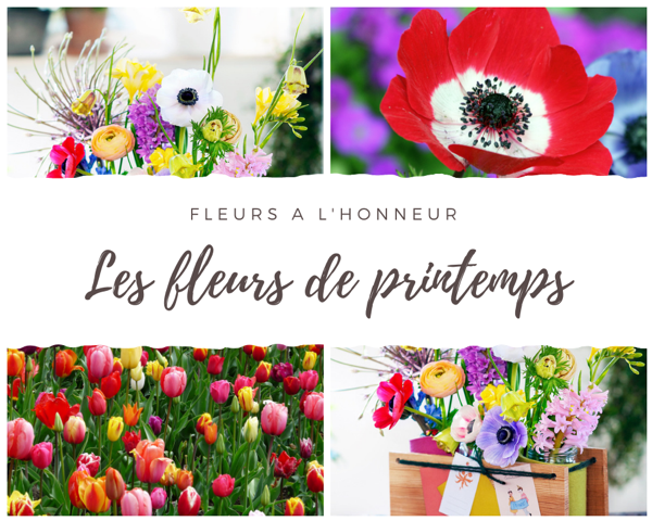 Fleurs de printemps