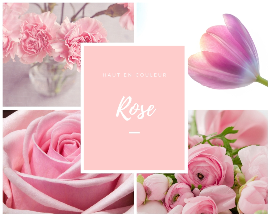 couleur rose