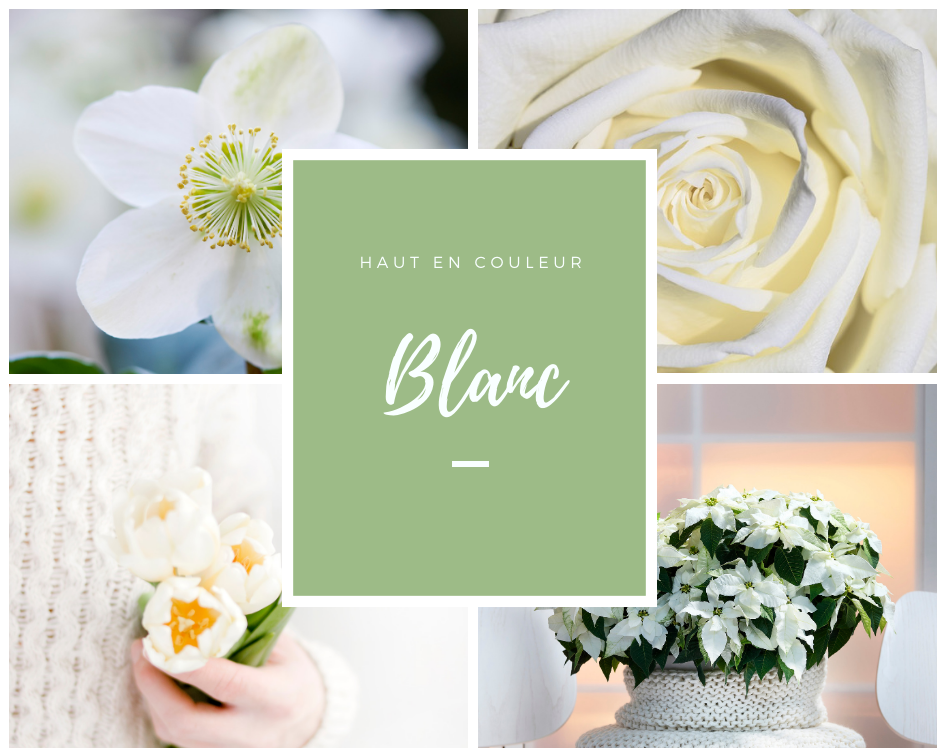 bouquet blanc